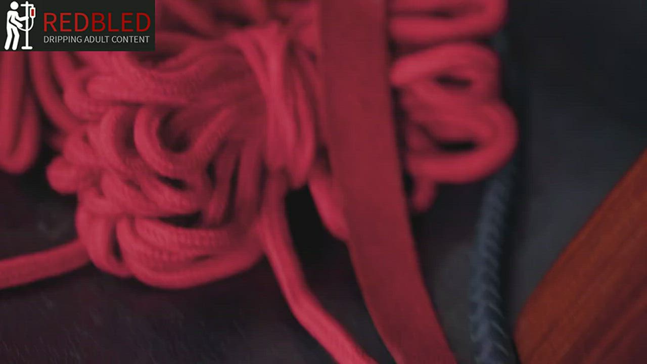 BDSM Brazzers Hardcore Porn GIF by redbledcom