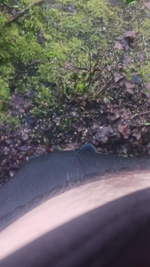 On a walk, had to pee