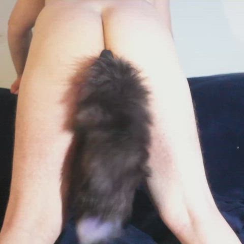Geek that loves tails....here and there ;) thumbnail
