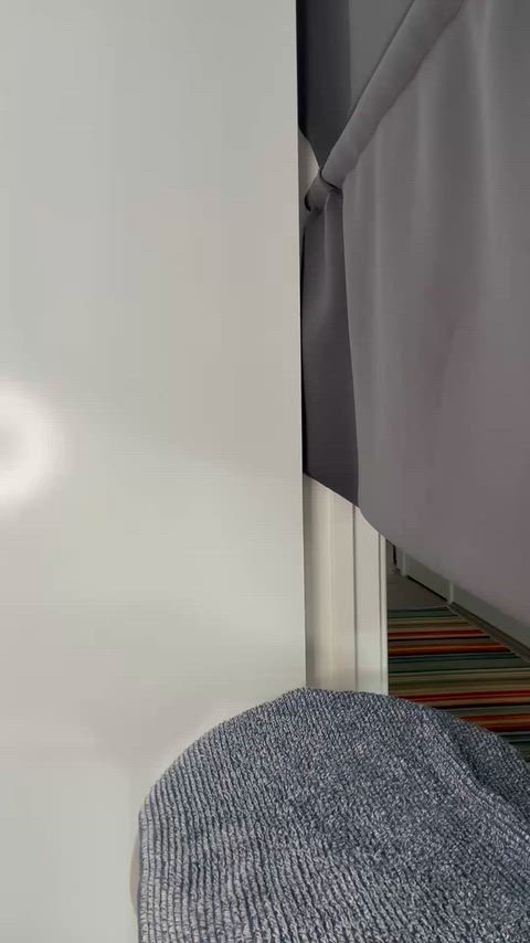 SomeComfortableQueenslandheeler thumbnail