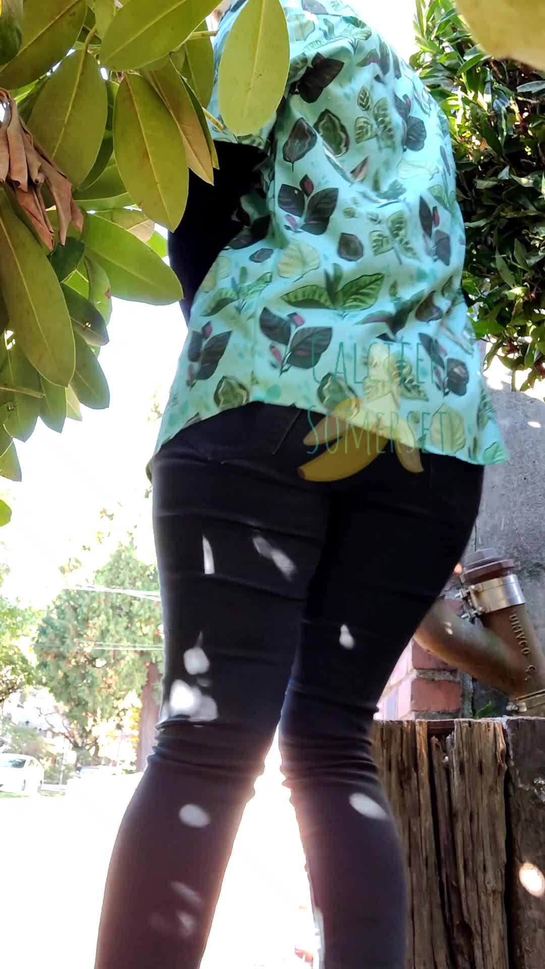Public ass and pussy flash