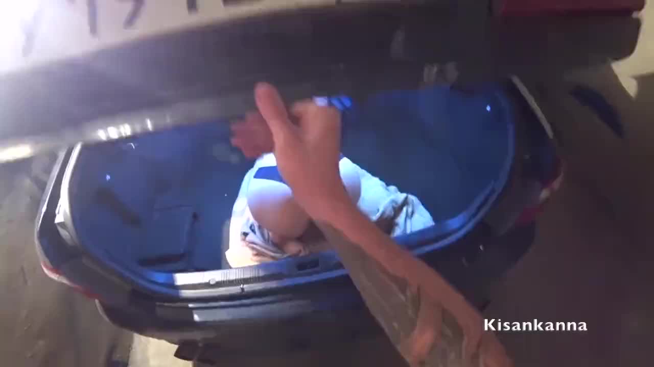 Trunk Pussy
