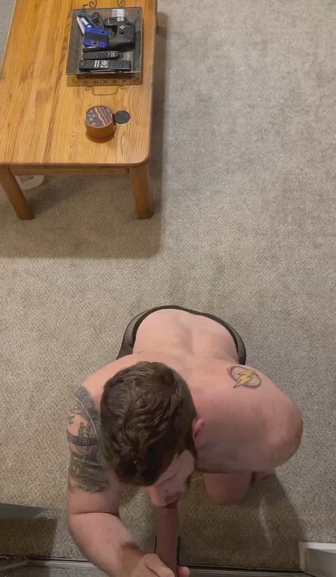 SpecificJudiciousPiglet thumbnail