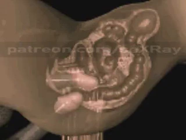 Anal BBC Blacked BullBangGang Deep Penetration Double Penetration Double Teamed Fucked Gangbang Pussy Porn GIF by jakula