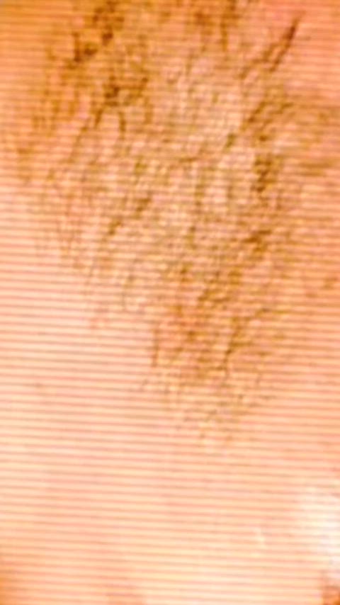 SpectacularStiffBellsnake thumbnail