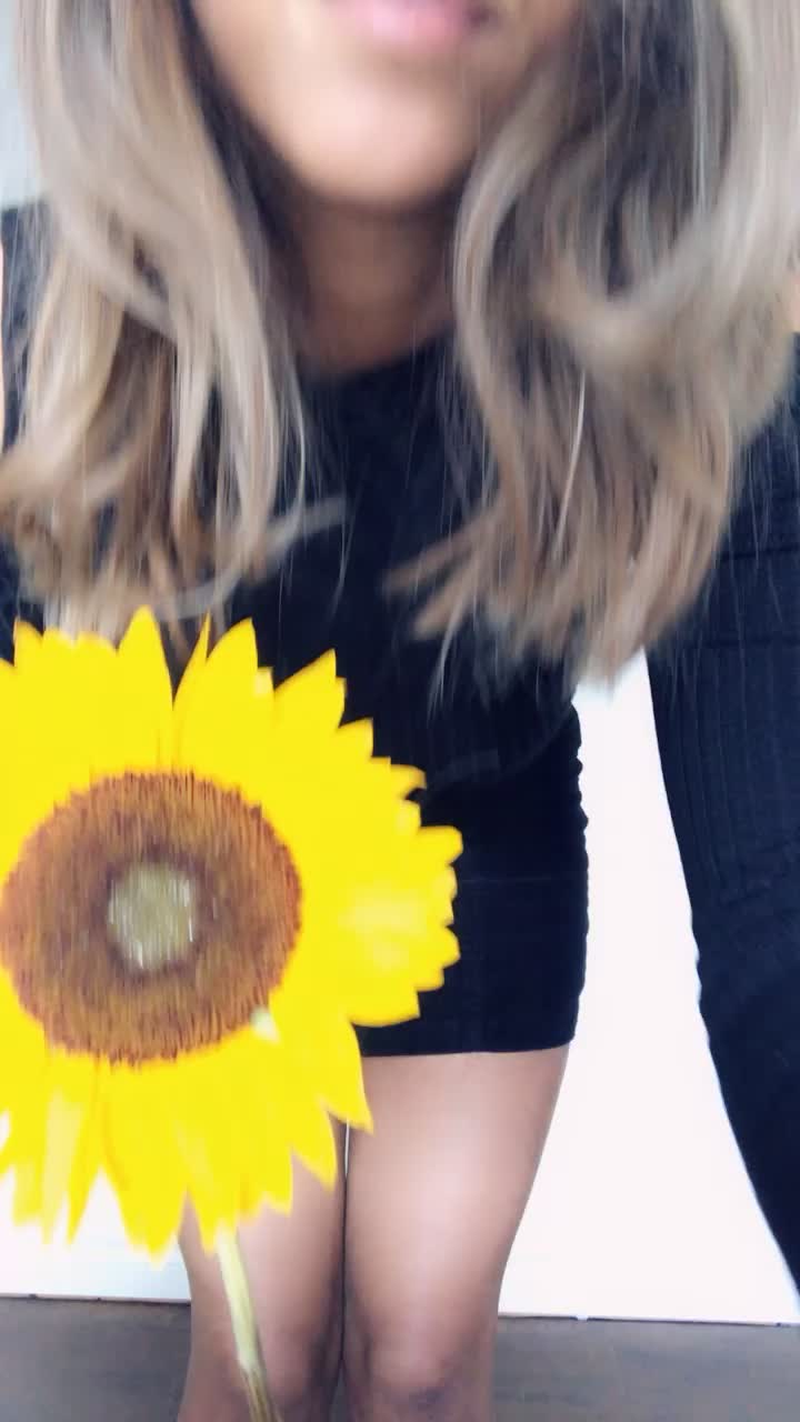 Sunny days with sunflowers 🌻