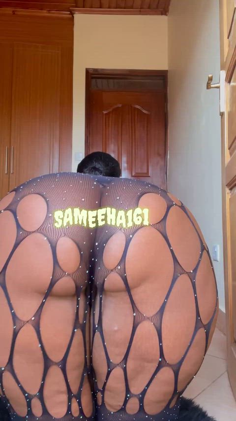 Ass Ass Spread Big Ass Booty MILF NSFW POV Phat Ass Pussy Solo Porn GIF by sameeha161