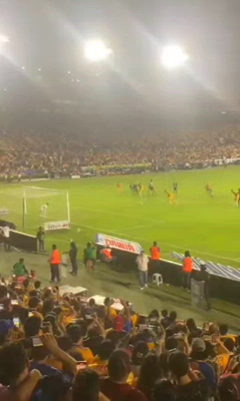 Amateur Bouncing Tits Caught Exhibitionism Exhibitionist Flashing Football Outdoor Public r/CaughtPublic Porn GIF by populardick