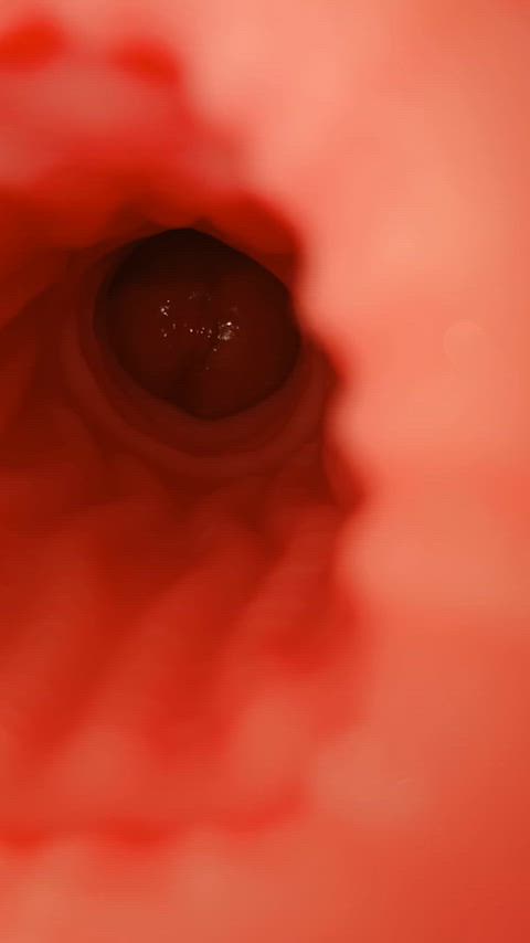 Internal View of Dark Violet