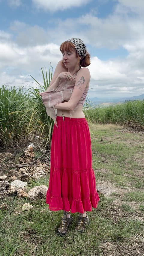 preparing to enter the harvest