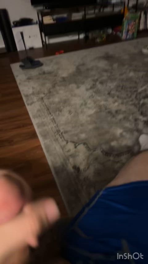 SqueakySnowPangolin thumbnail