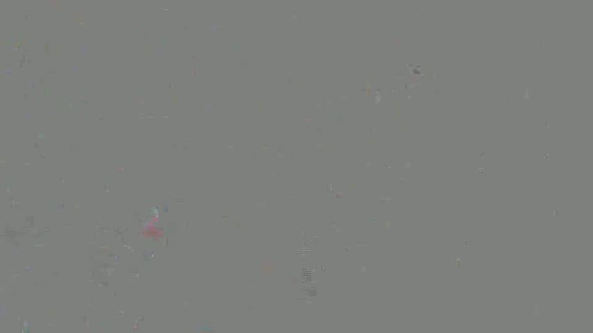 StainedCoordinatedIlsamochadegu thumbnail