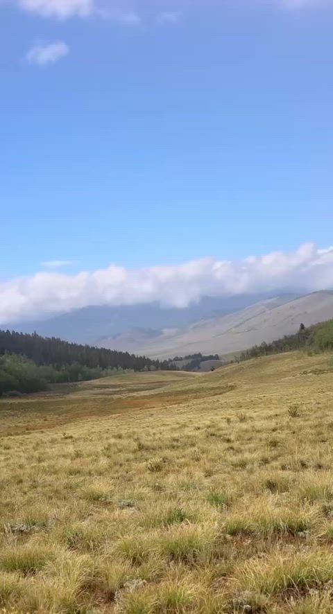 Take me to the woods anddd…