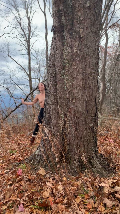 chase me through the woods…