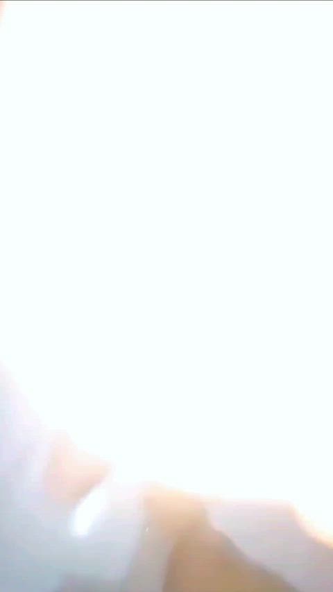 Training my new bitch