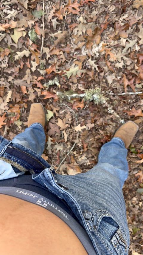 Out in the woods, need a friend