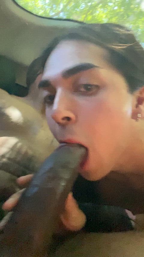 StridentUnderstatedOlm thumbnail