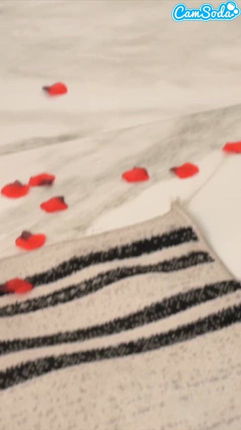 The Perfect Birthday Gift