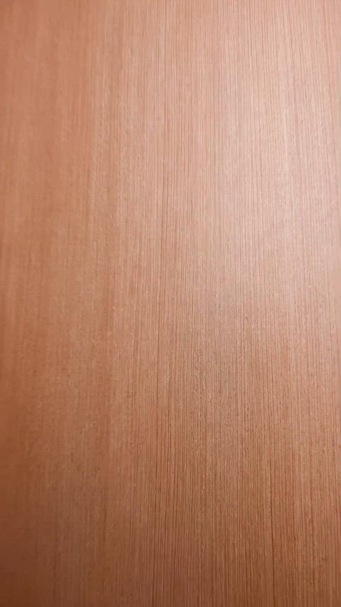 have u had ur first trans experience yet?