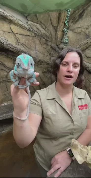 I hope my clever reveal made you smile 😊❤ OC