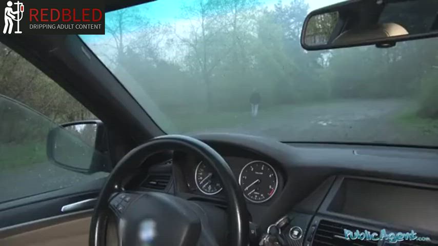 Car Sex Hardcore Pornstar Porn GIF by redbledcom