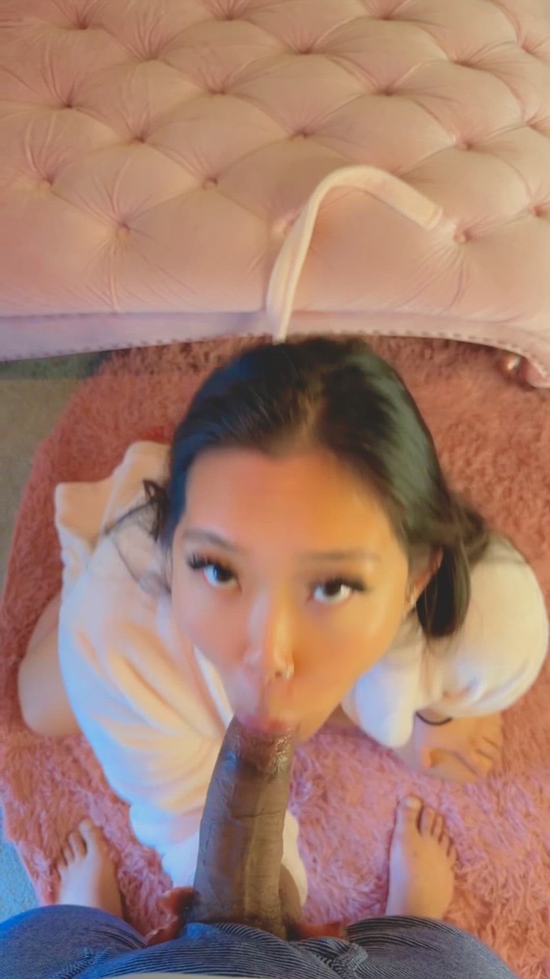 I love sucking big brown cock