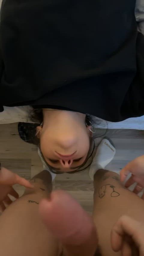SunnyFuzzyEgret thumbnail