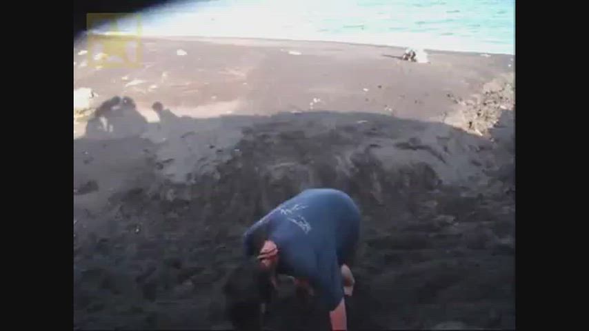 Does anyone know the original video? (ENF)