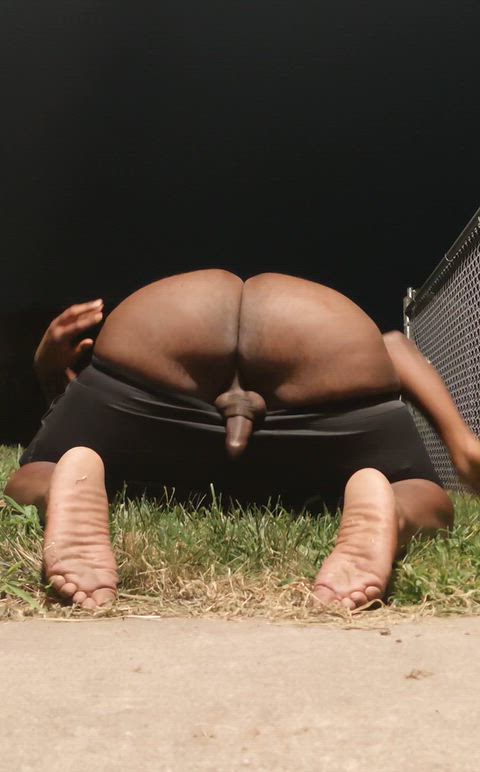 TanDarkseagreenIlsamochadegu thumbnail