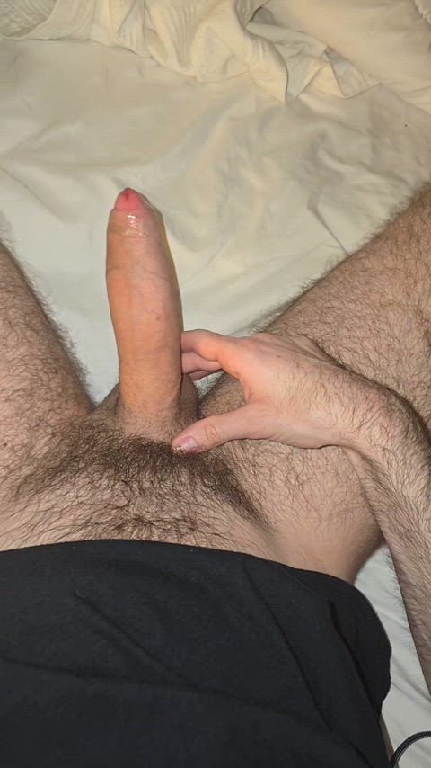 TastyAlarmingNorthernfurseal thumbnail