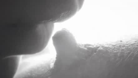 Alexis Crystal Amaris Bed Sex Blonde Close Up Erect Nipples Fingering Lesbian Lesbians Lick Licking Lingerie Natural Natural Tits Nipple Nipple Play PMV Pussy Pussy Eating Pussy Licking Porn GIF by uxizix