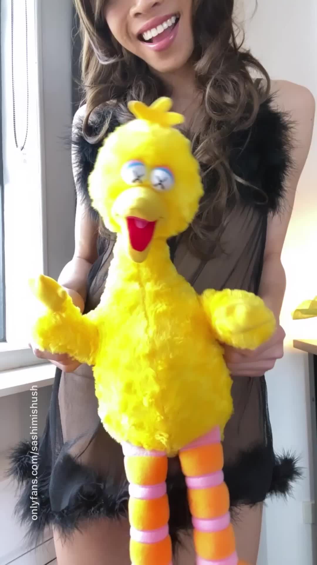 Big bird says hello