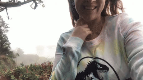 Welcome... to Jurassic Park!