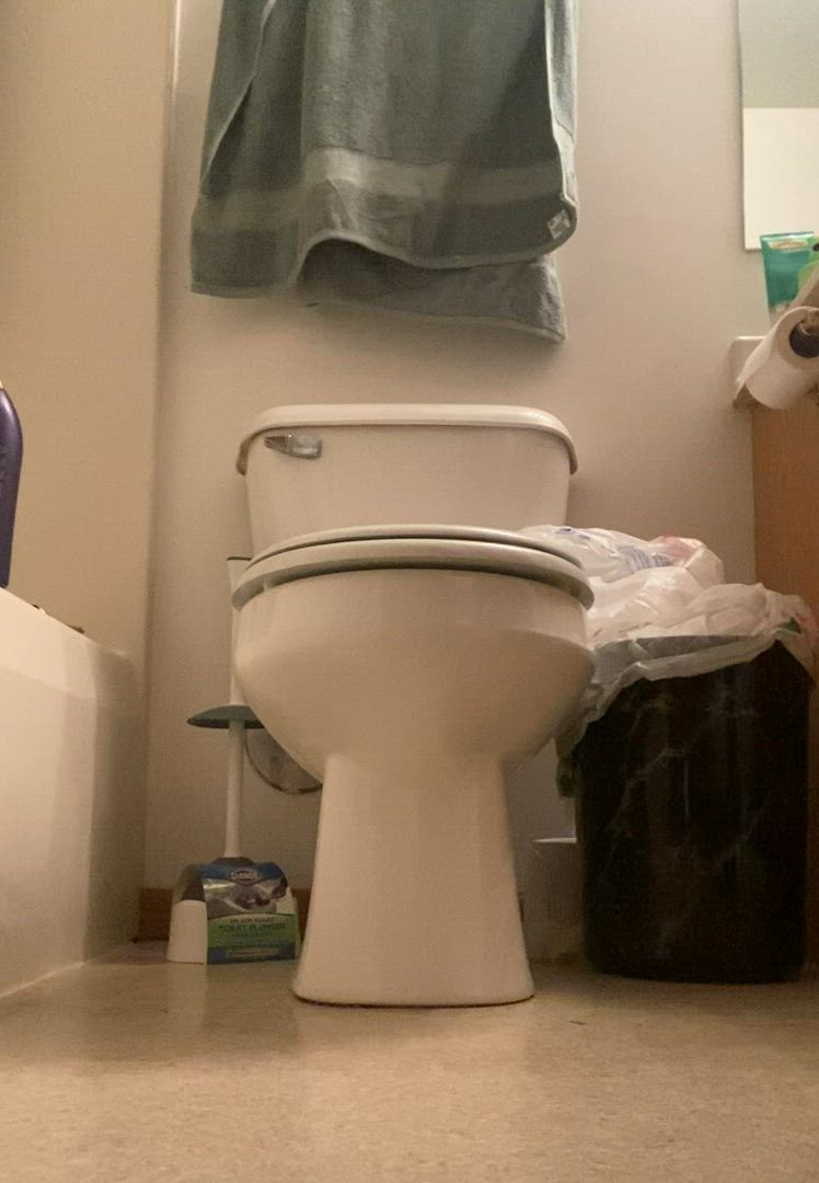 Crossdressing · Trans · Transgender