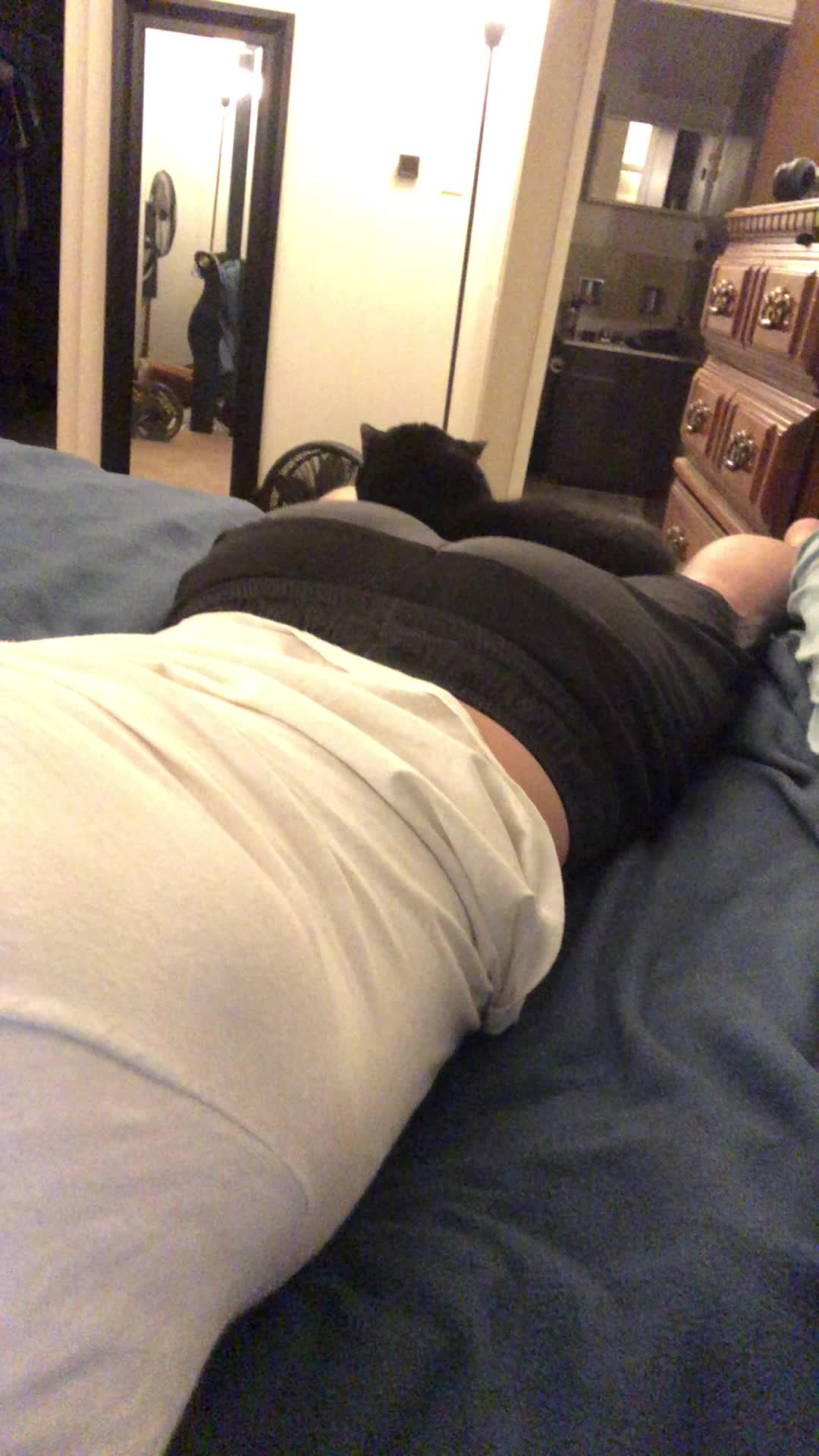 Cat buns flex