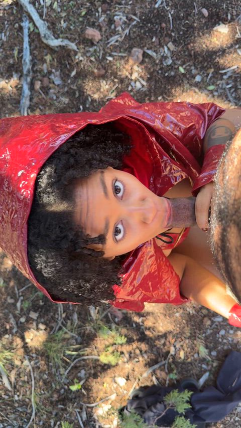 Red Riding Hood sucking the Big Bad Wolf