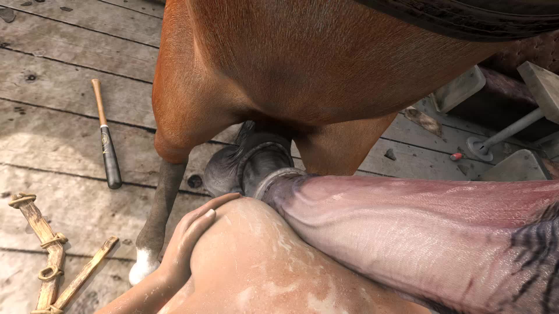 Female POV Horse Paizuri