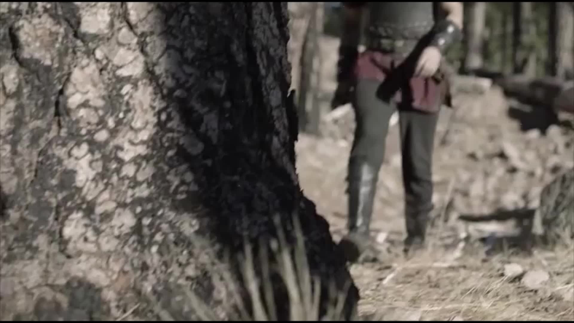 Warrior Finds Veiled Harem Girl In The Forest