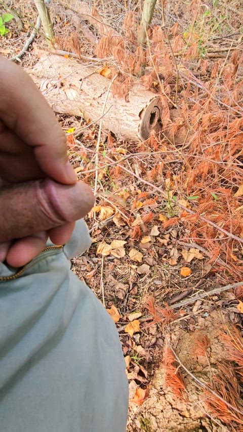 Quick piss off the trail.