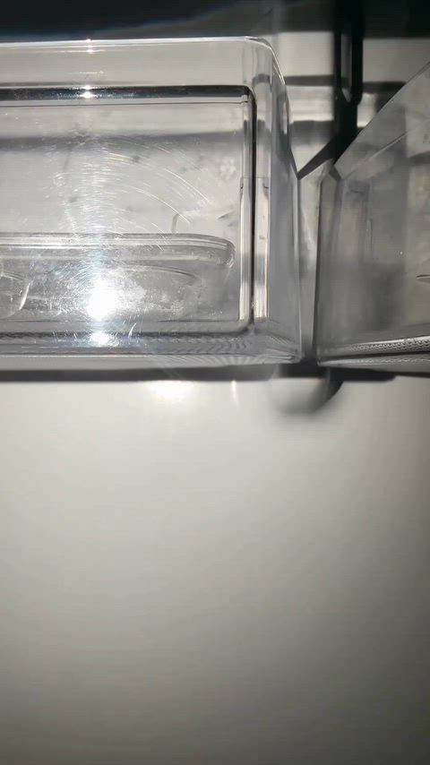 TrainedBelovedLonghornbeetle thumbnail
