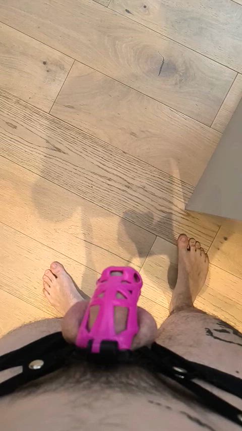 BTS. He said to Stand there and shut up while he takes photos of my gf.