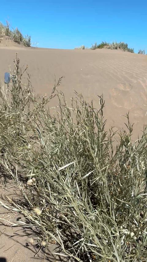 When: you caught a horny sexy blonde