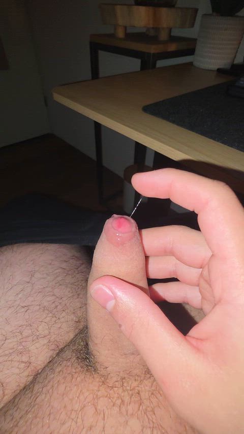 Porn GIF by bidutchgooner