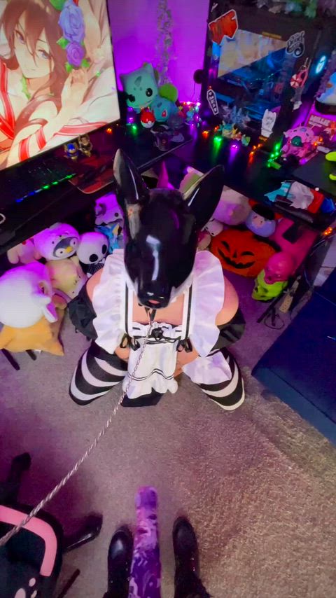 Doesn’t my puppy look so cute in their new maid outfit!!!