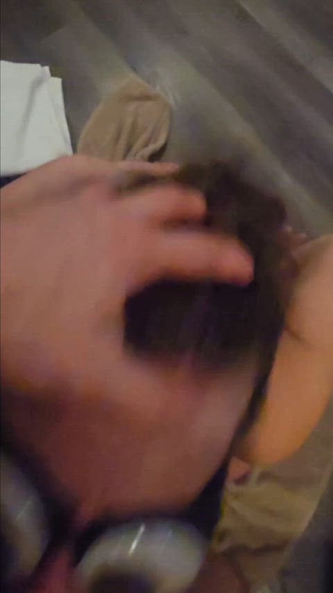 UnevenYummyZebraswallowtailbutterfly thumbnail