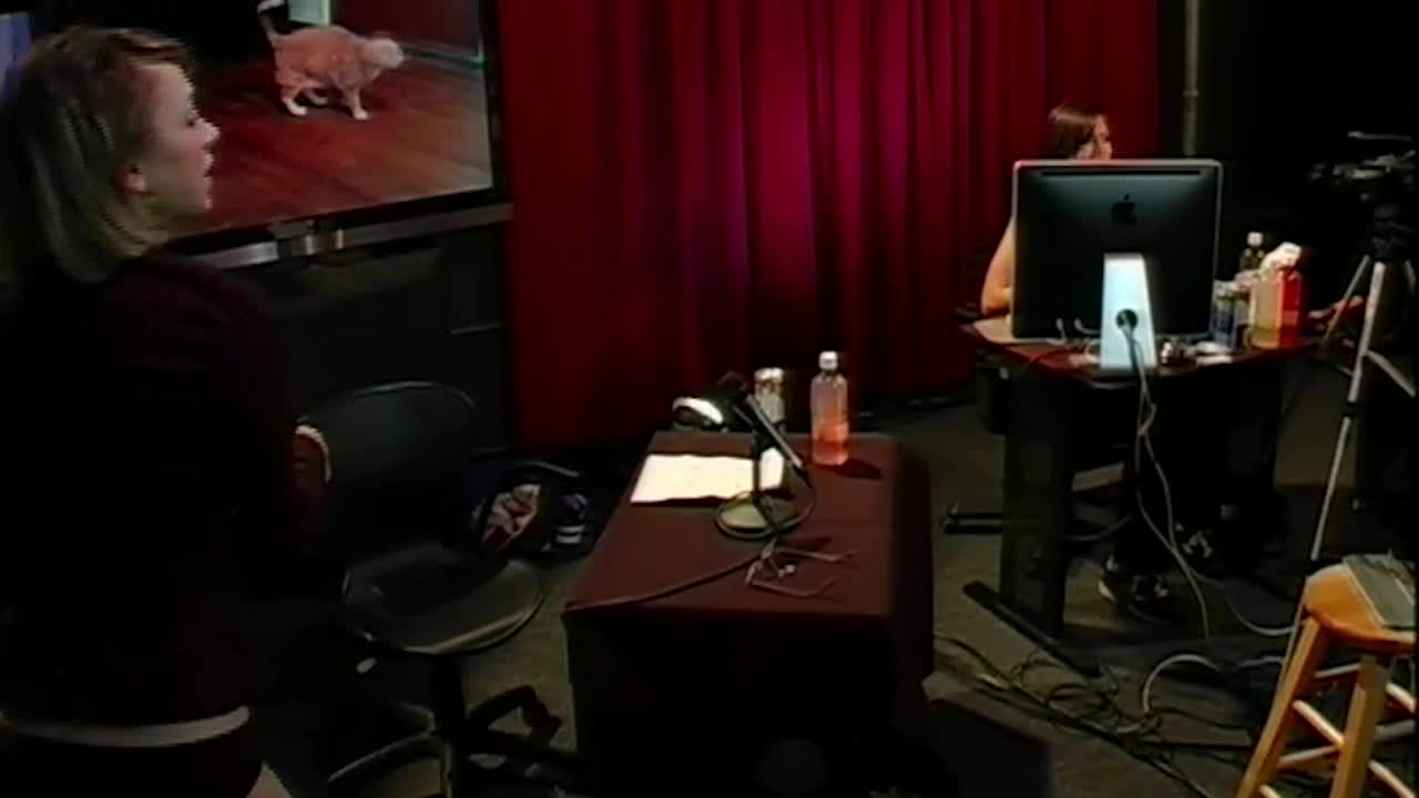 Iliza Shlesinger used to host a Daily Show rip off called the Weakly News where she never wore pants and made sure the audience knew what panties she had on