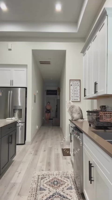 Beware of the cat!
