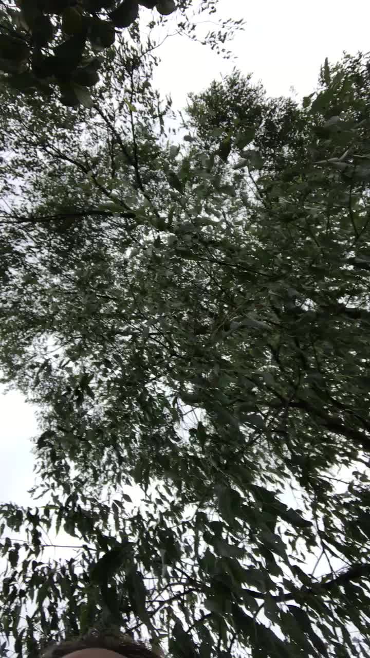BBW First Time Flashing...