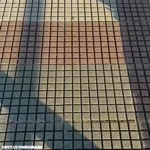 Amateur Exhibitionist Funny Porn Public Real Couple Trashy Trashy Boners r/CaughtPublic r/NSFWFunny Porn GIF by duromami