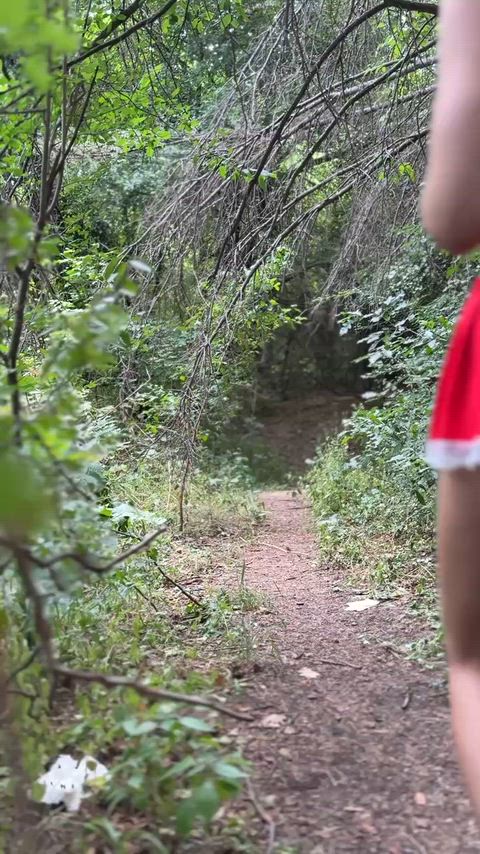 Today is a good day to go for a walk in the park